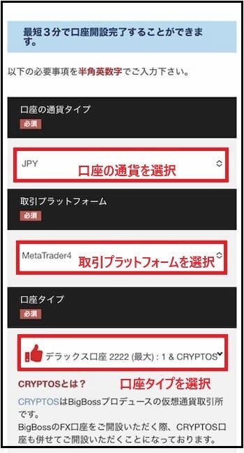 BigBoss口座開設フォーム-通貨、プラットフォーム、口座タイプを選択