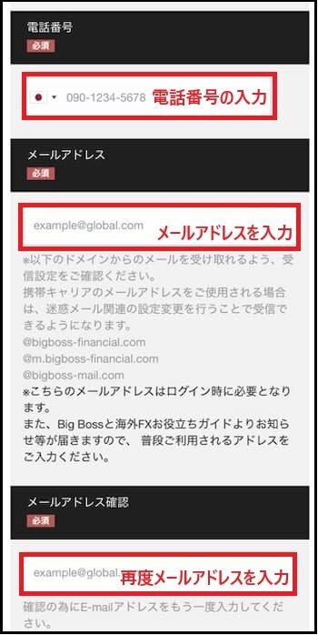 BigBoss口座開設フォームーメールアドレスの入力